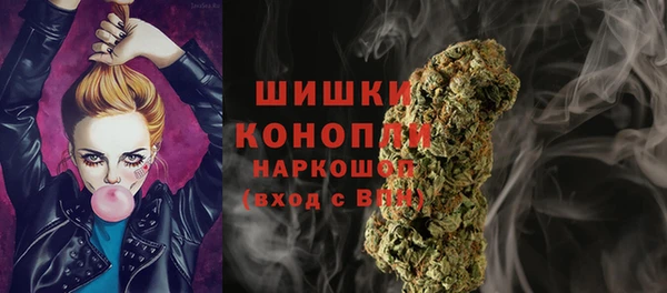 шишки Волосово